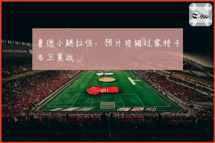 鲁德小腿拉伤，预计将错过蒙特卡洛卫冕战